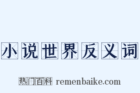 小说世界反义词是什么意思的图片